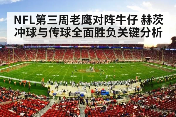 american football stadium crowd